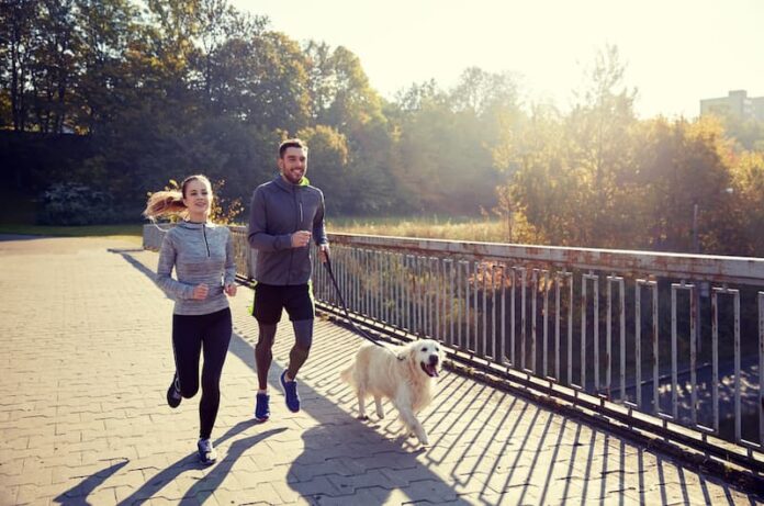 Zwei Menschen laufen mit dem Hund, was sind Hobbys im Lebenslauf?